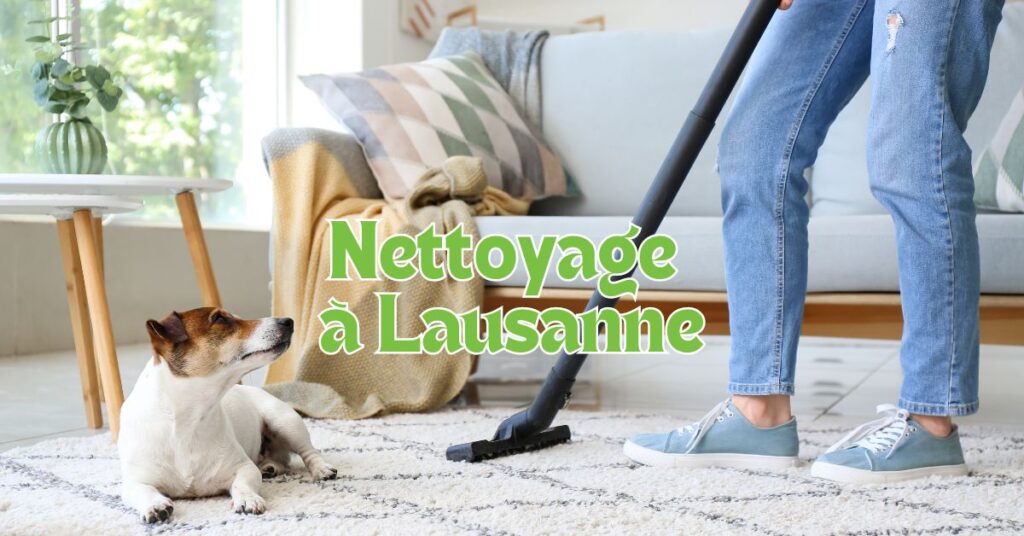 Dmdt Blog Post 20 Entreprise De Nettoyage Maison à Lausanne Votre Solution Pour Un Espace Propre Et Ordonné