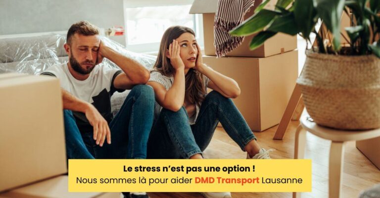 Dmdt Blog Post 31 Le Stress N’est Pas Une Option ! Nous Sommes Là Pour Aider Dmd Transport Lausanne