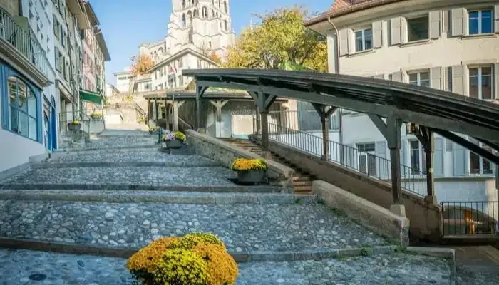Déménagement de Pully vers Lausanne avec les services de DMD-Tansport