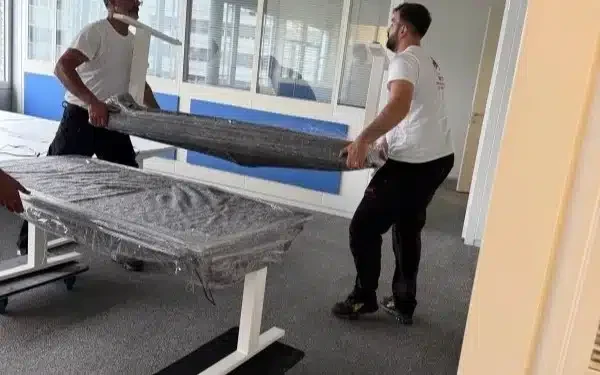 demenagement entreprise