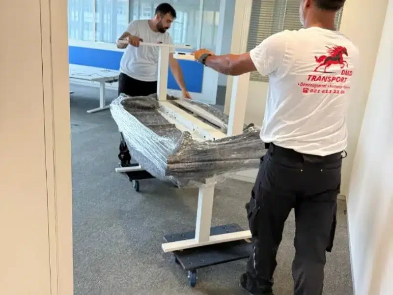 Déménageur Vaud pour entreprise