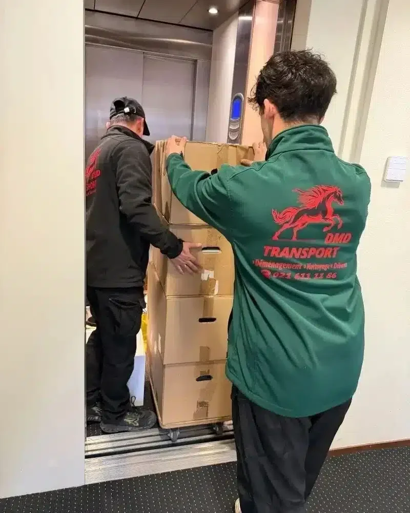 Déménageurs professionnels chargeant des cartons dans l'ascenseur d'un immeuble de l'Ouest lausannois