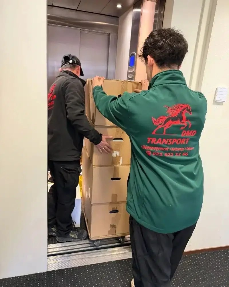 expert déménagement Lausanne