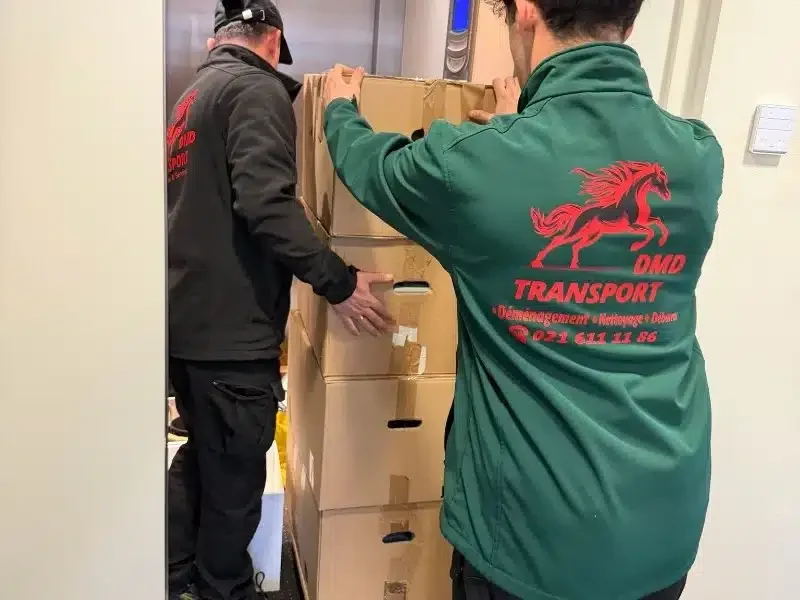Transport de cartons lors d'un emménagement à distance lointaine